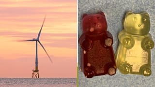The new composite resin could be used to recyclable turbine blades into sweets. 