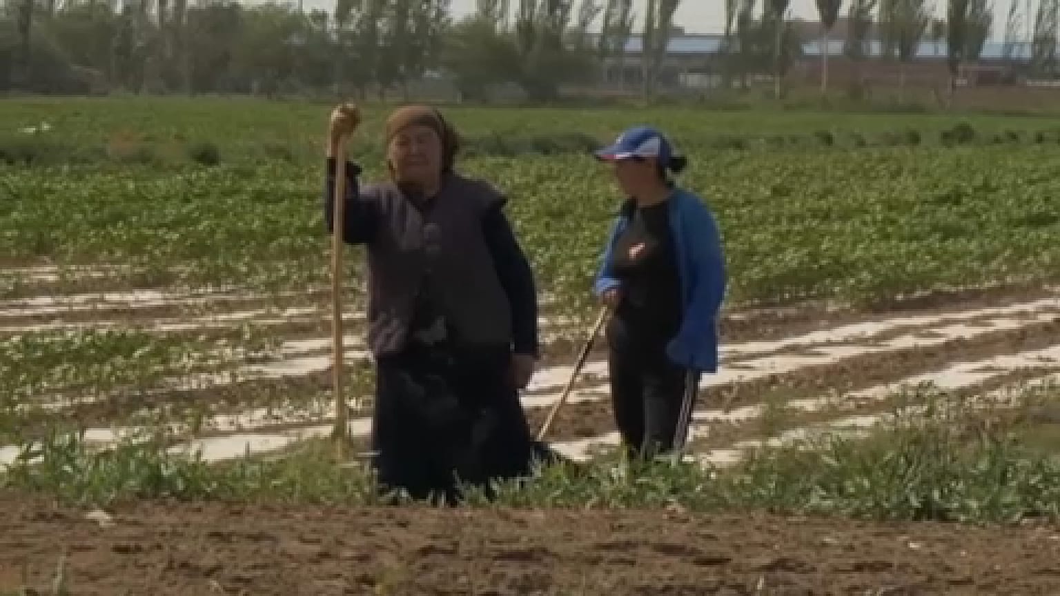 Minoria Uigur na China