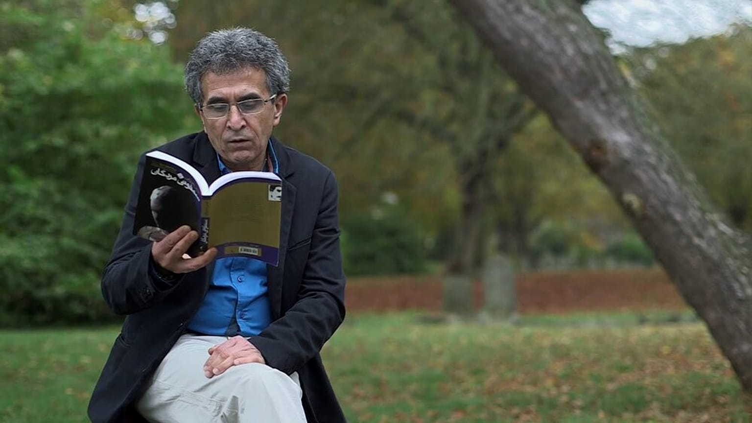 عباس معروفی