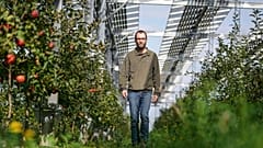 Farmer Christian Nachtwey walks under solar panels, installed over his organic orchard in Gelsdorf, western Germany,