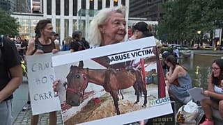 En Nueva York se busca reemplazar los carruajes por coches eléctricos, para evitar el maltrato animal