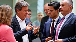 Los ministros de energía se reunirán el próximo viernes