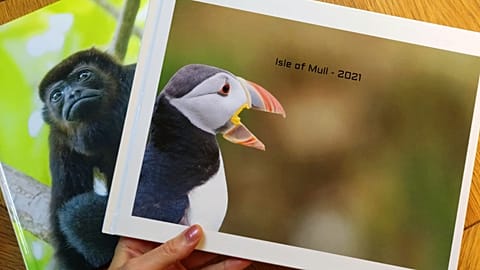 Storage full? Rediscover the forgotten joy of holiday photo books.