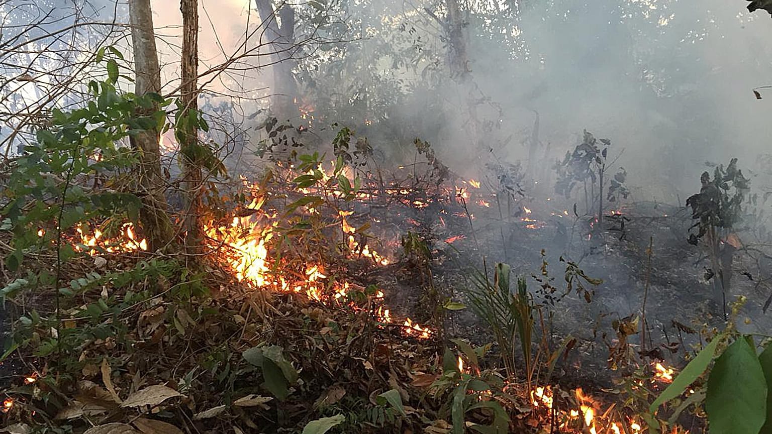 Incêndio perto de Porto Velho, capital do estado da Rondónia