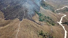 L'Amazonie est victime de nombreux feux de forêt cet été.