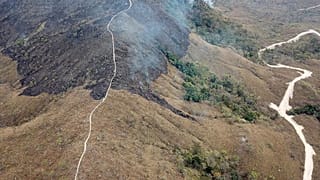 August has been Brazil's worst month for fires in more than a decade.