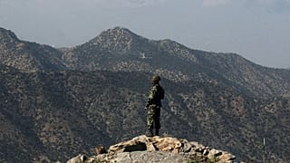 عکس تزئینی است