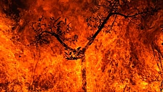 آتش‌سوزی در جنگل‌های آمازون