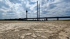 Archives : le lit du Rhin asséché à Düsseldorf, en Allemagne, le 25 juillet 2022
