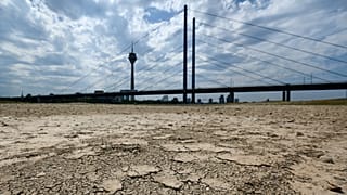 Archives : le lit du Rhin asséché à Düsseldorf, en Allemagne, le 25 juillet 2022