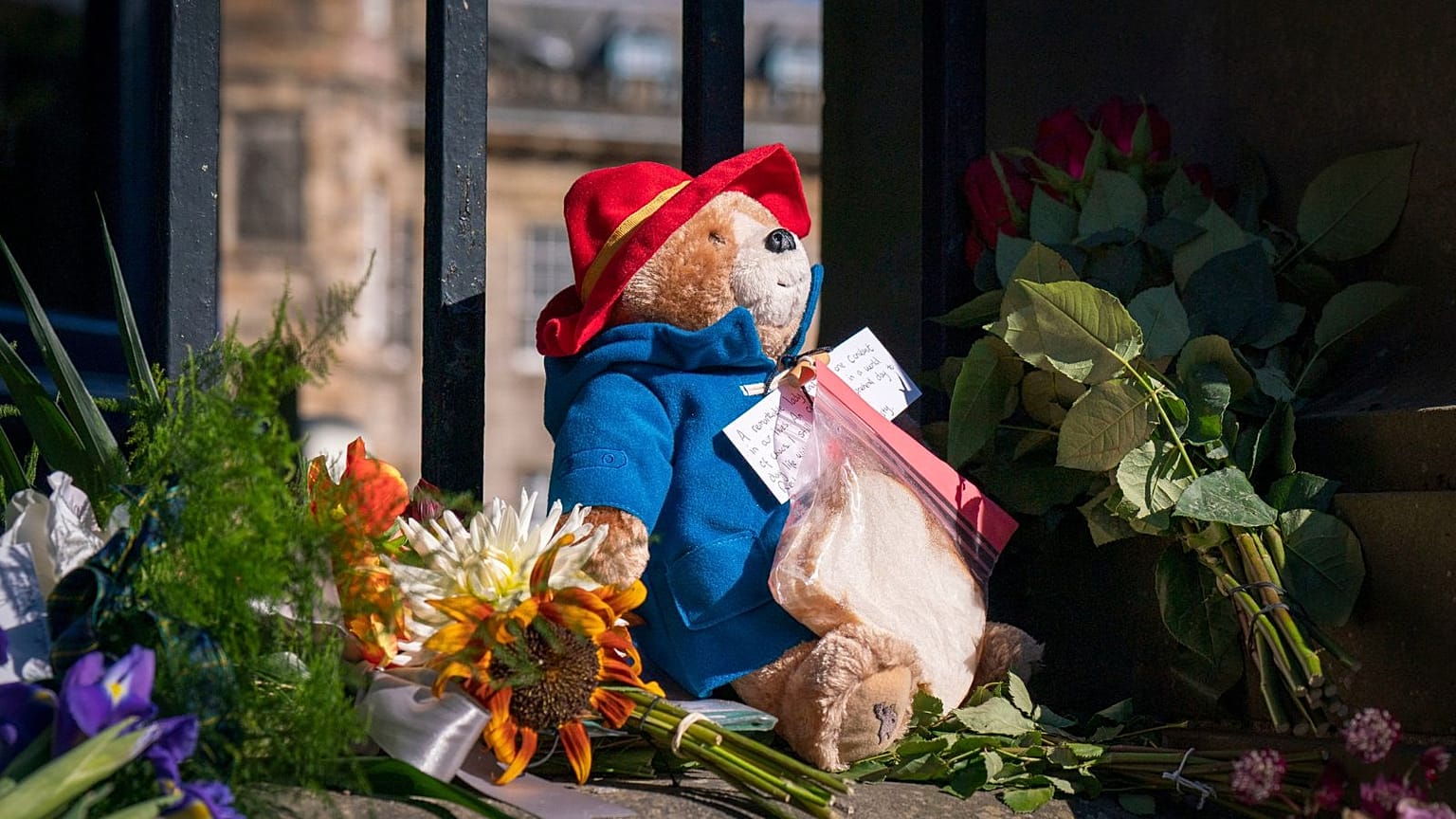 Stop leaving Paddington Bears, Queen's mourners have been told to respect sustainability. 