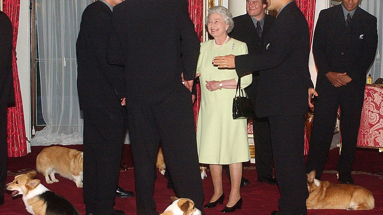 The Queen meets New Zealand's All Blacks rugby team accompanied by her pet corgis 