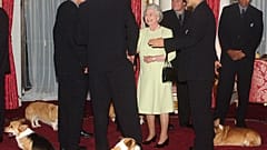 The Queen meets New Zealand's All Blacks rugby team accompanied by her pet corgis 