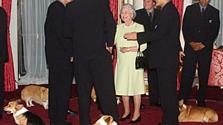 The Queen meets New Zealand's All Blacks rugby team accompanied by her pet corgis 