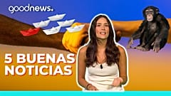 5 buenas noticias