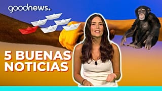 5 buenas noticias