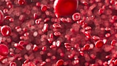 A simple blood test could detect signs of cancer