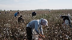 Zwangsarbeit verschärft im Visier der EU-Kommission