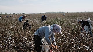 Zwangsarbeit verschärft im Visier der EU-Kommission