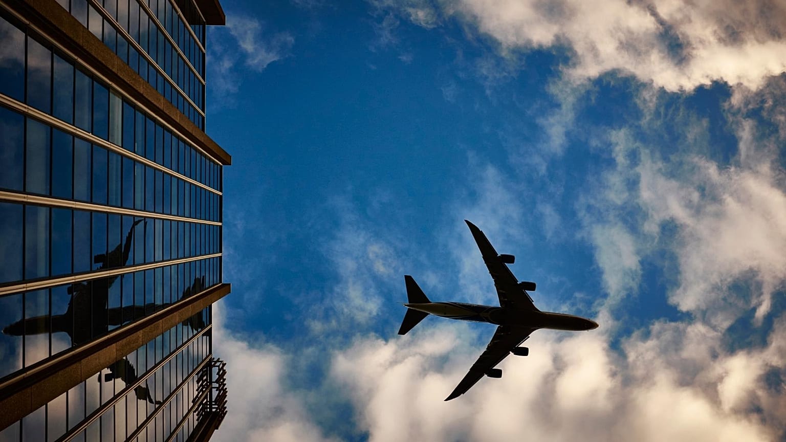 Kelly Pichardo and another first-class passenger intimidated crew members and passengers on the flight. 