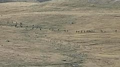Tote bei Kämpfe zwischen Armenien und Aserbaidschan