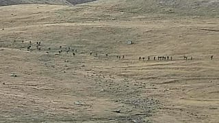 Tote bei Kämpfe zwischen Armenien und Aserbaidschan