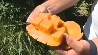 Tropical fruit, che passione!