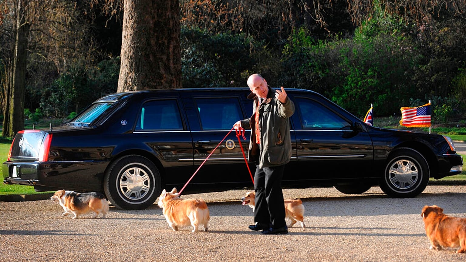 Los corgis de la Reina Isabel II se pasean por los jardines del Palacio de Buckingham