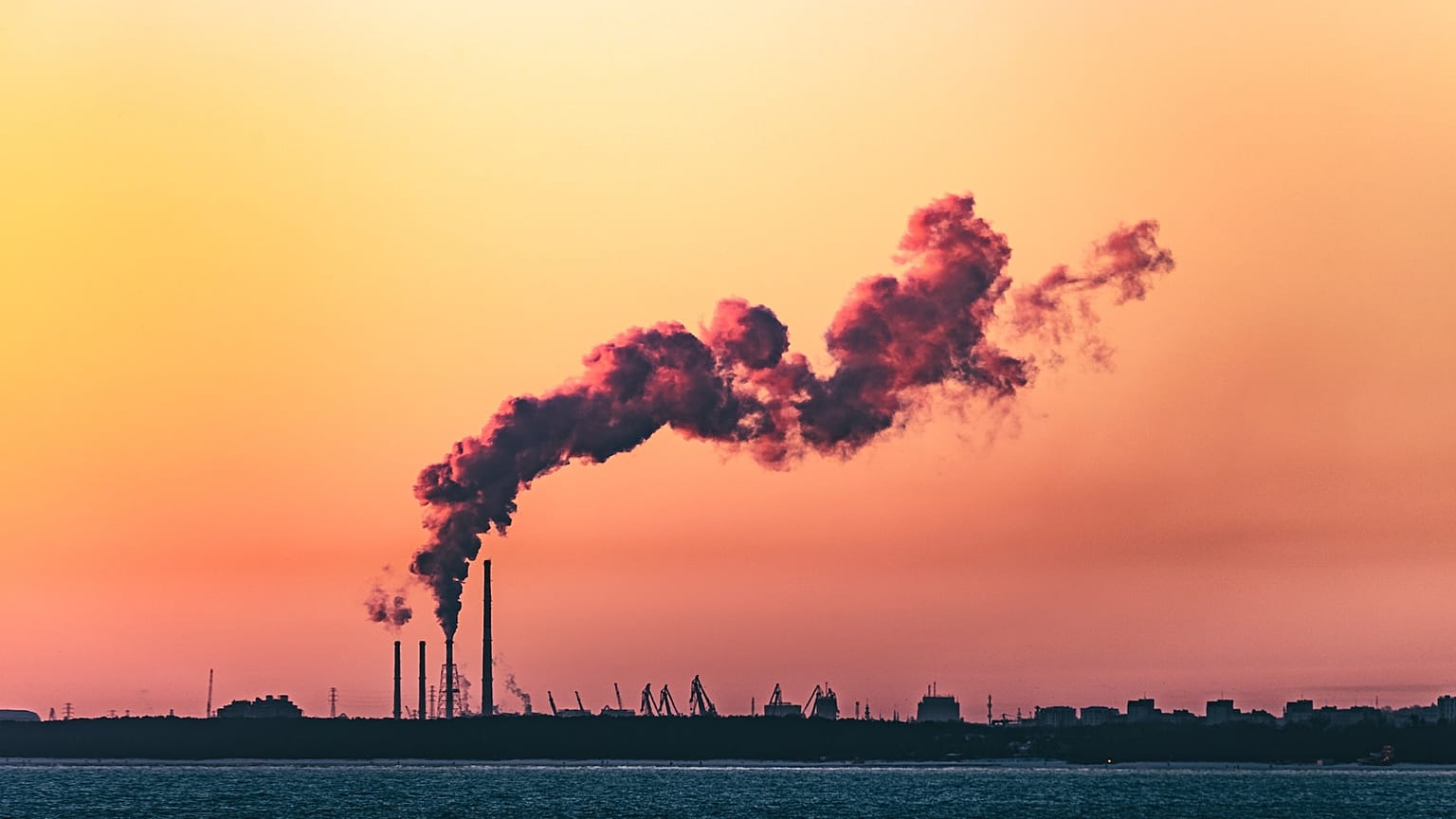 "La bioeconomia può avere un ruolo chiave nel raggiungimento delle emissioni zero. Ma servono più investimenti di quanti previsti dal Green Deal"