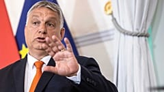 Macaristan Başbakanı Viktor Orban