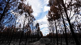 The "World Climate Declaration" states that there is no climate emergency