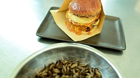 A plate of "Cricket-burger" and crickets at a restaurant in Bangkok 