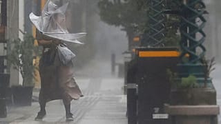 Schirmproblem in Miyazaki
