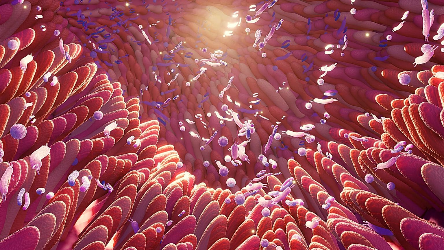 The gut microbiome is an ecosystem of trillions of tiny microbes lining our digestive tracts that's believed to play an important part in human health.