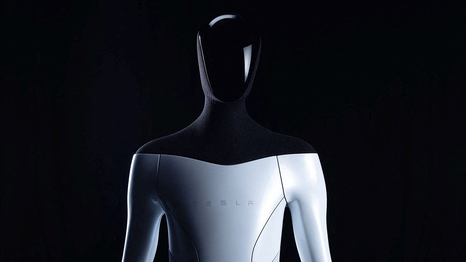 Musk said at a TED talk robots could be used in homes, making dinner, mowing the lawn and even becoming a "buddy" or a "catgirl" sex partner.