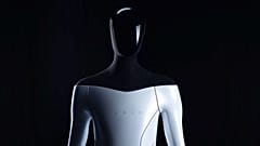 Musk said at a TED talk robots could be used in homes, making dinner, mowing the lawn and even becoming a "buddy" or a "catgirl" sex partner.