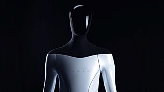 Musk said at a TED talk robots could be used in homes, making dinner, mowing the lawn and even becoming a "buddy" or a "catgirl" sex partner.