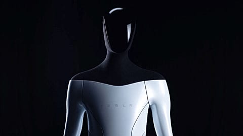 Musk said at a TED talk robots could be used in homes, making dinner, mowing the lawn and even becoming a "buddy" or a "catgirl" sex partner.