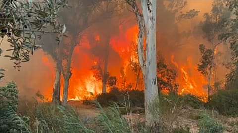 El incendio de Antalya