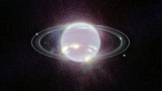Les anneaux de Neptune mis au jour grâce au télescope James Webb