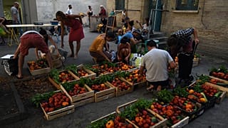 Archives : vente de produits bio dans le cadre d'une AMAP, sur une place de Toulouse, le 24 juillet 2017