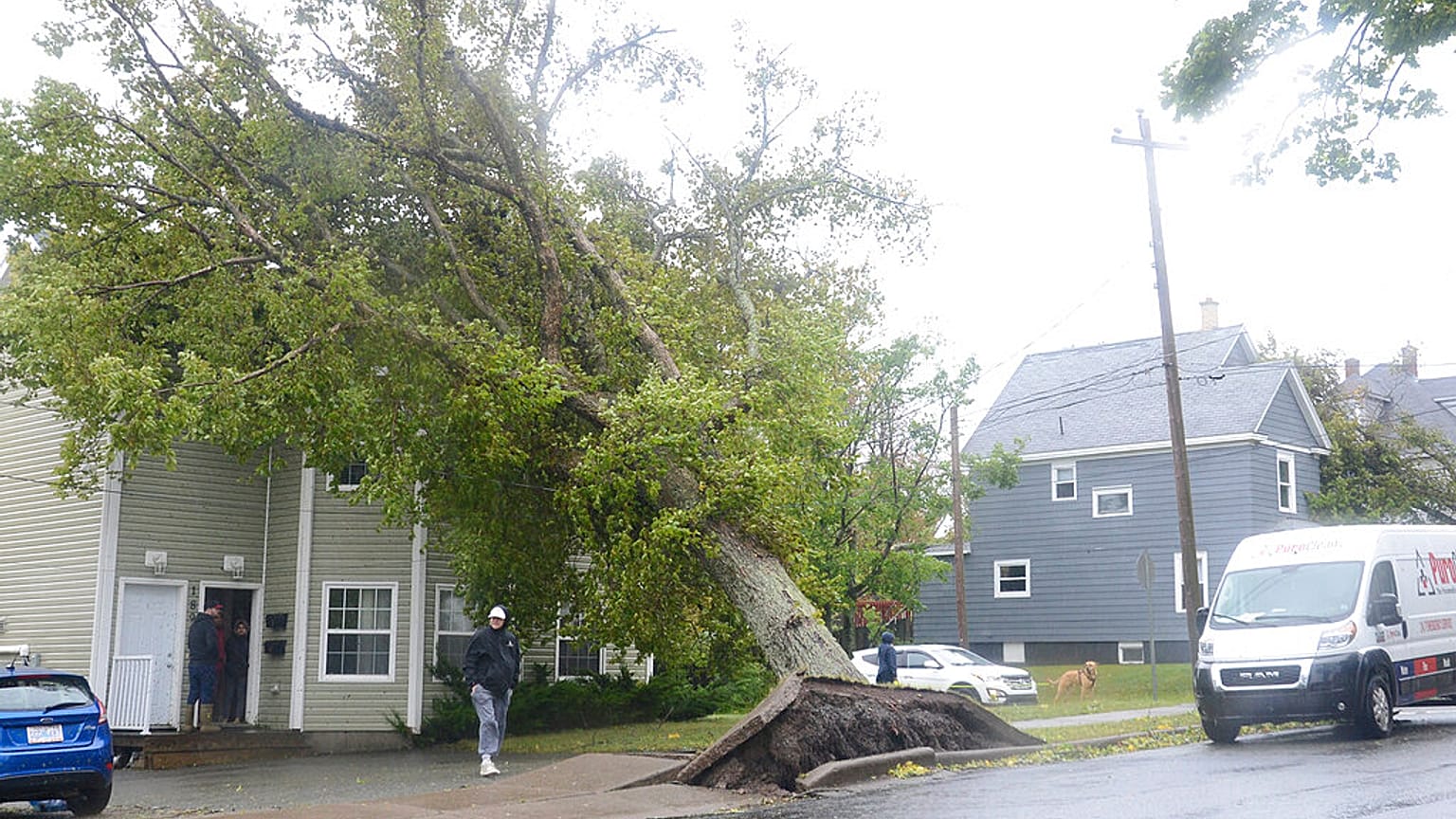 Árbol caído tras el paso del huracán Fiona en Canadá
