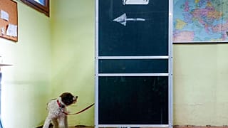 Lo spoglio delle elezioni italiane