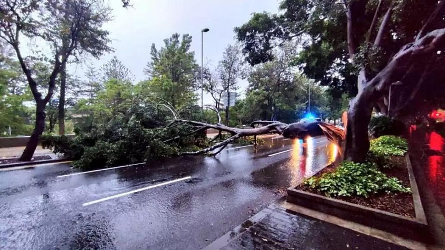 Spain's Canary Island has been battered by tropical depression Hermine