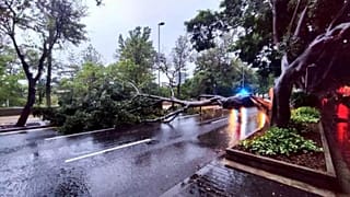 Spain's Canary Island has been battered by tropical depression Hermine
