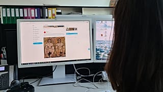 Fransız Senatosu'ndan pornografi raporu