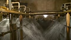 Wassermangel in den Niederlanden?
