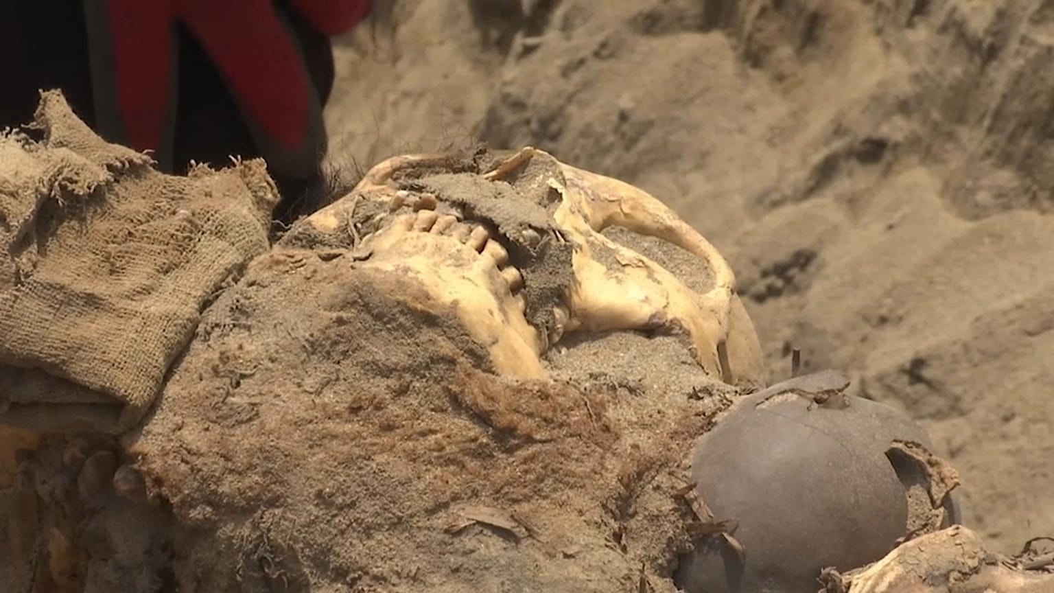 Una calavera junto a una vasija en el yacimiento prehispánico de Carabayllo.