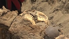 Una calavera junto a una vasija en el yacimiento prehispánico de Carabayllo.