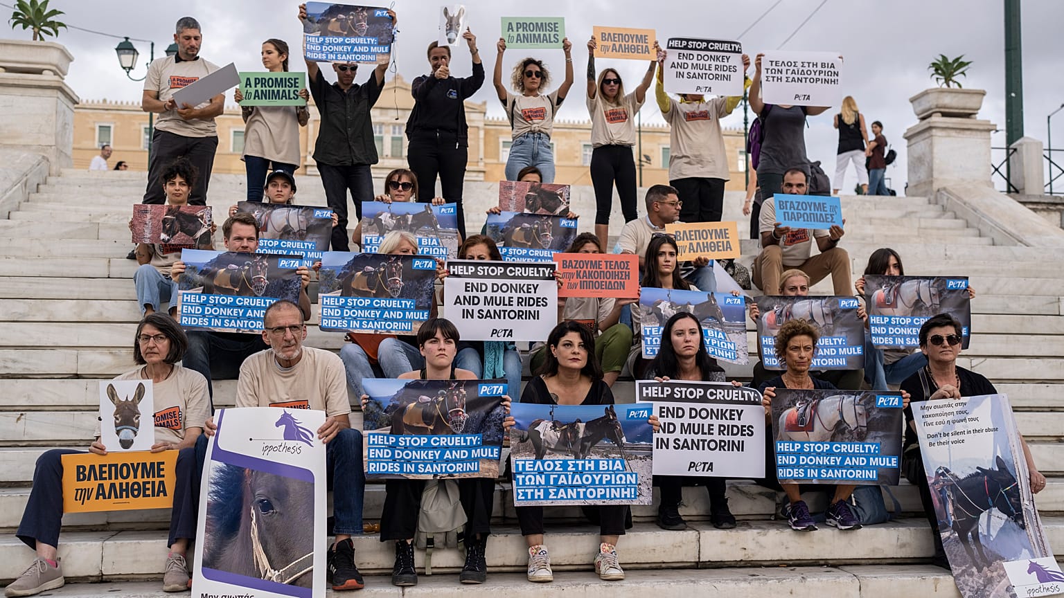 Διαμαρτυρία ακτιβιστών στο Σύνταγμα